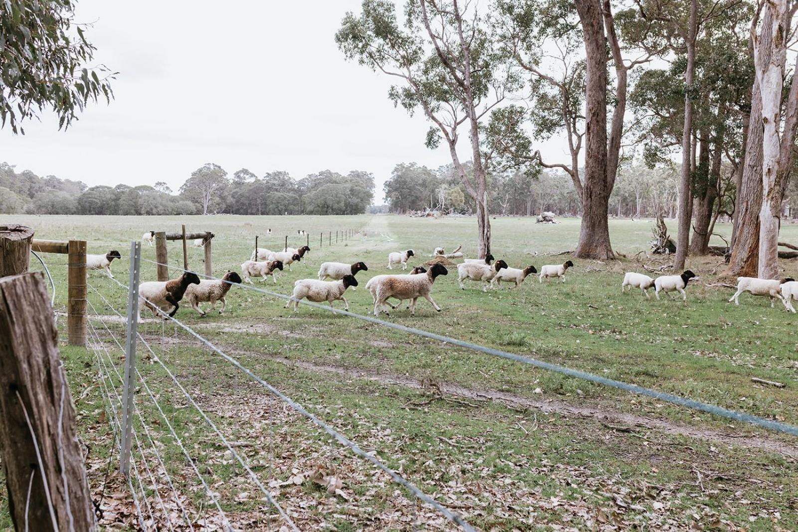 Chambre Estate Margaret River المظهر الخارجي الصورة