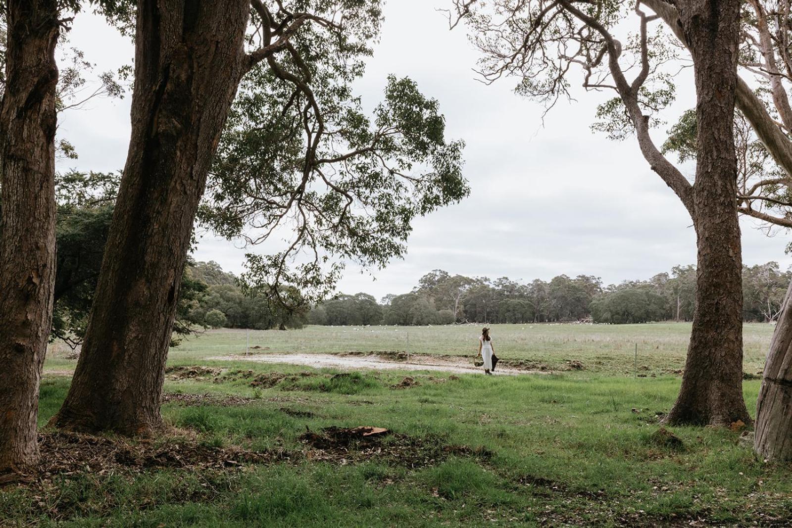 Chambre Estate Margaret River المظهر الخارجي الصورة