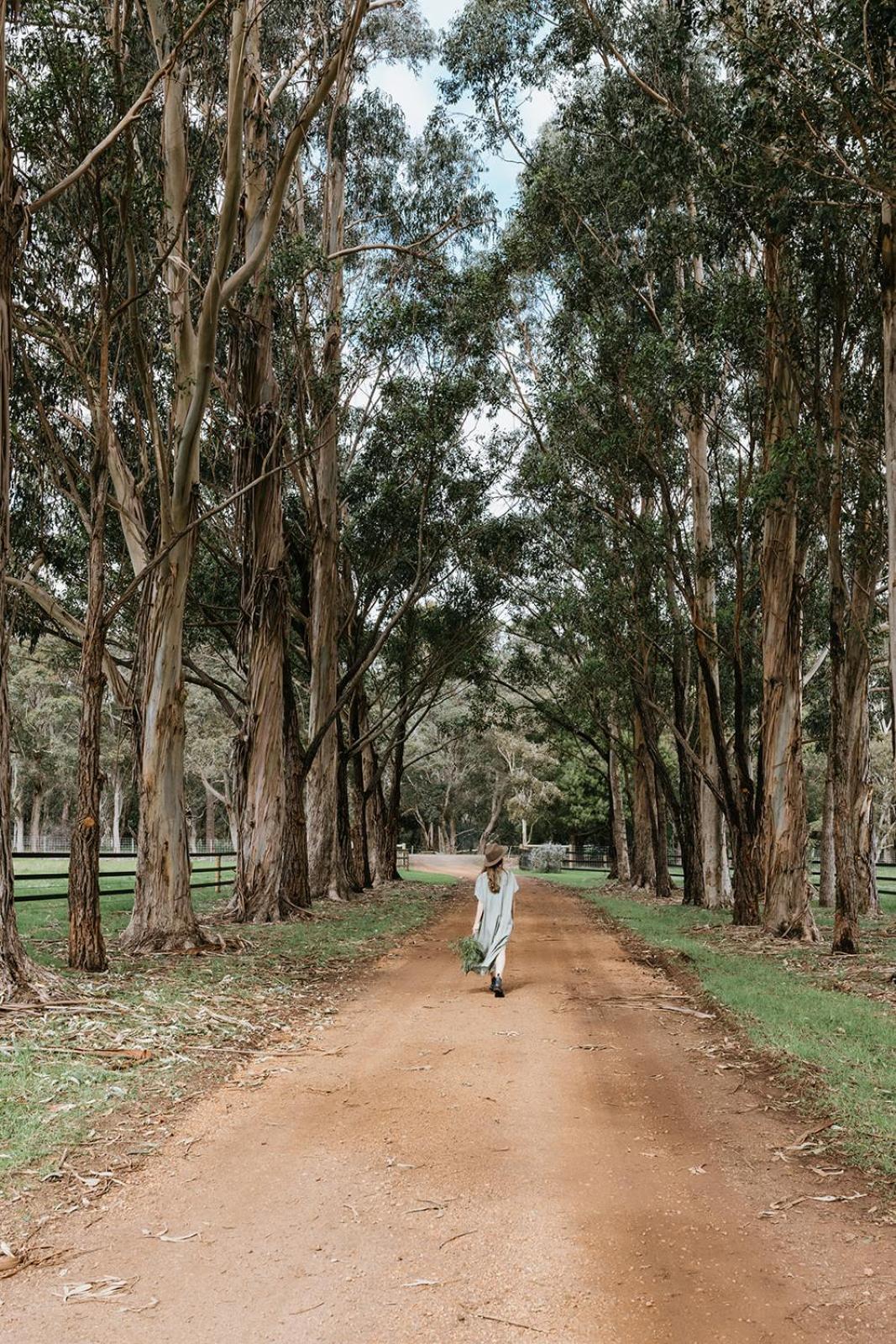 Chambre Estate Margaret River المظهر الخارجي الصورة